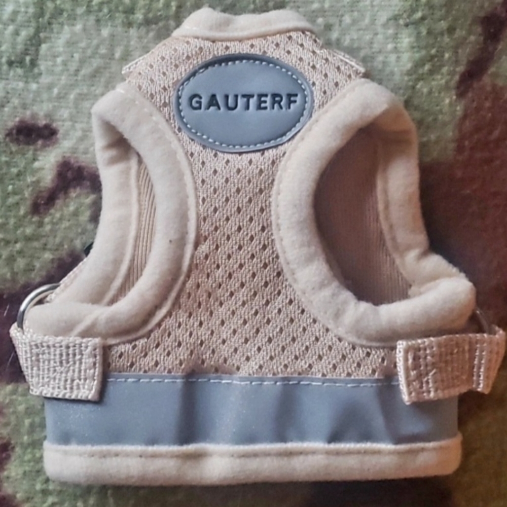 NWT Gauterf Beige Cream Pet Cat Puppy Harness w Leash Set Size XXS Soft Mesh NEW